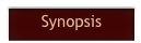 Synopsis